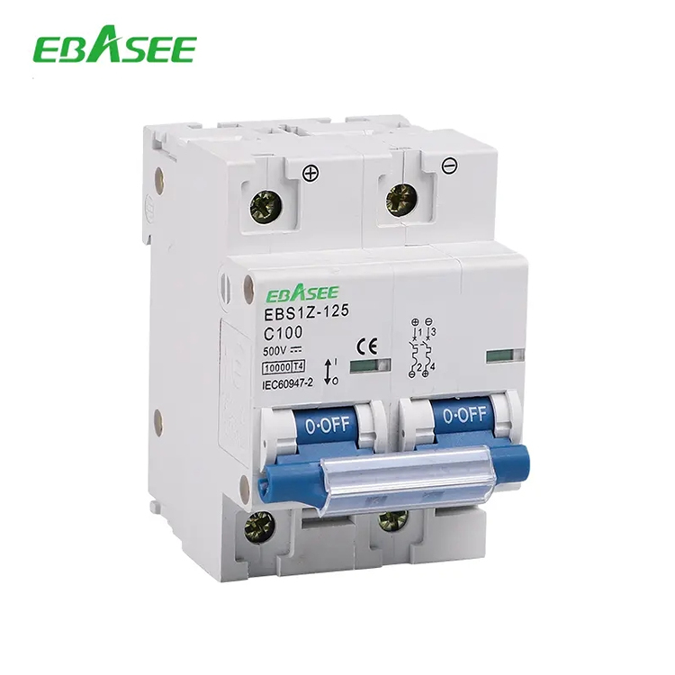 Disyuntor (BREAK) 100A 2P