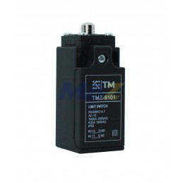 INTERRUPTOR FINAL DE CARRERA NEGRO,BOTON/PIVOTE METALICO, IP65, 1NO/1NC, 10A 250VAC AC15, TM