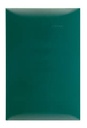 [25600-68] PLACA CIEGA S/CHASIS VERDE ABETO S25P